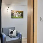 Vip Apartamenty, Orkana Appartement