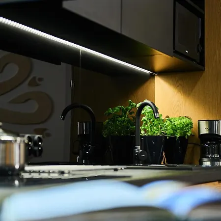 Vip Apartamenty, Orkana アパート *