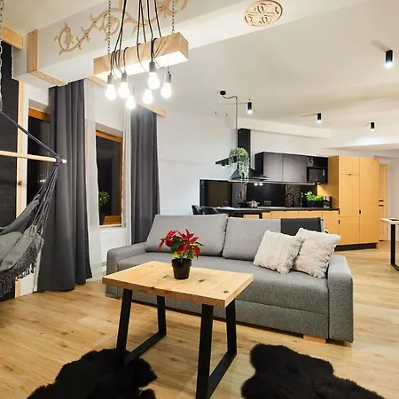 Vip Apartamenty, Orkana זקופאנה
