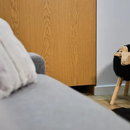 Vip Apartamenty, Orkana דירה