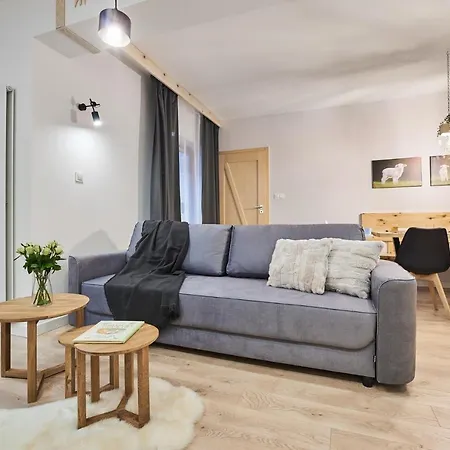 アパート Vip Apartamenty, Orkana