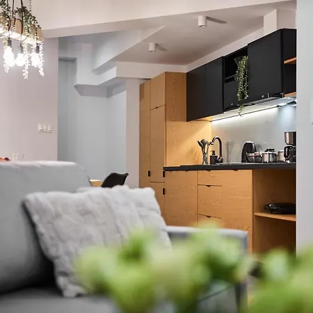 Vip Apartamenty, Orkana דירה זקופאנה