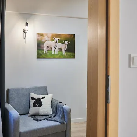 Vip Apartamenty, Orkana דירה